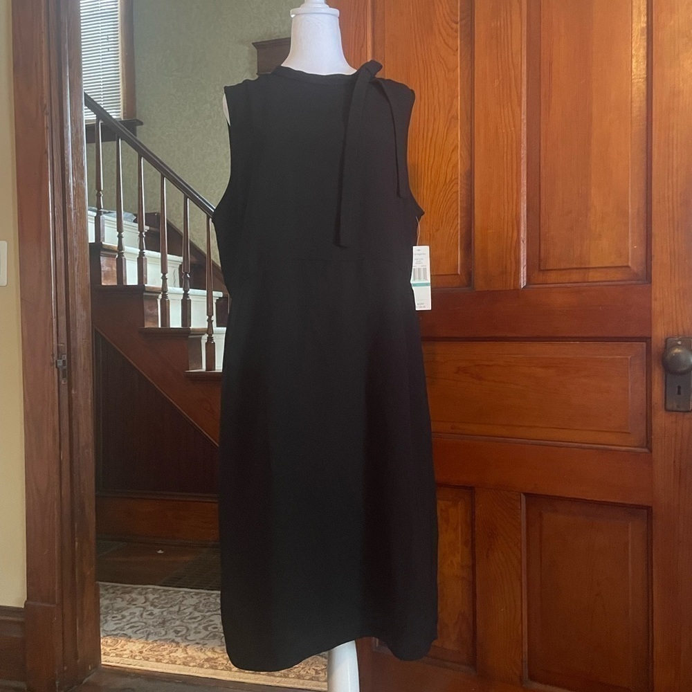 Sharagano Black Dress with Bow Detail